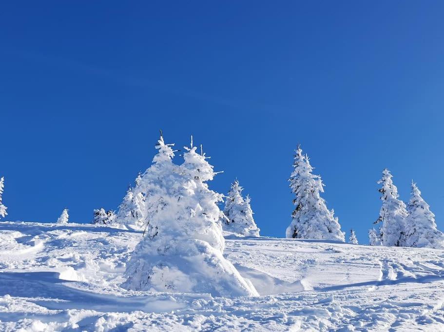 La Tour En Belledonne Villa Theys Kültér fotó