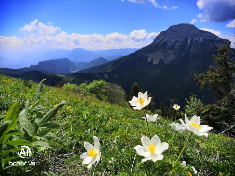La Tour En Belledonne Villa Theys Kültér fotó